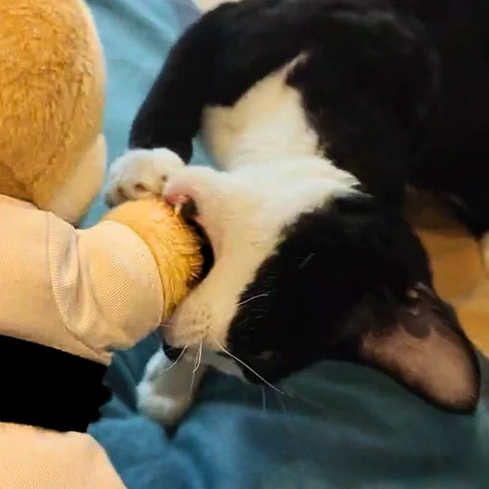 Gant Anti-Griffes Relva