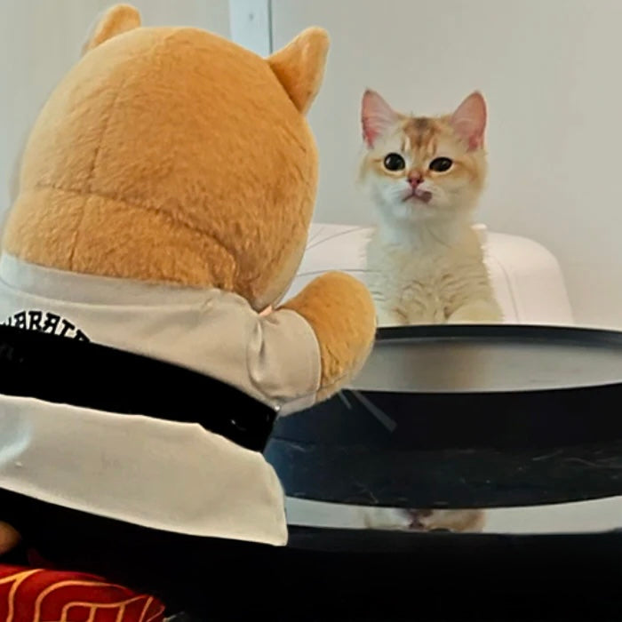 Gant Anti-Griffes Relva