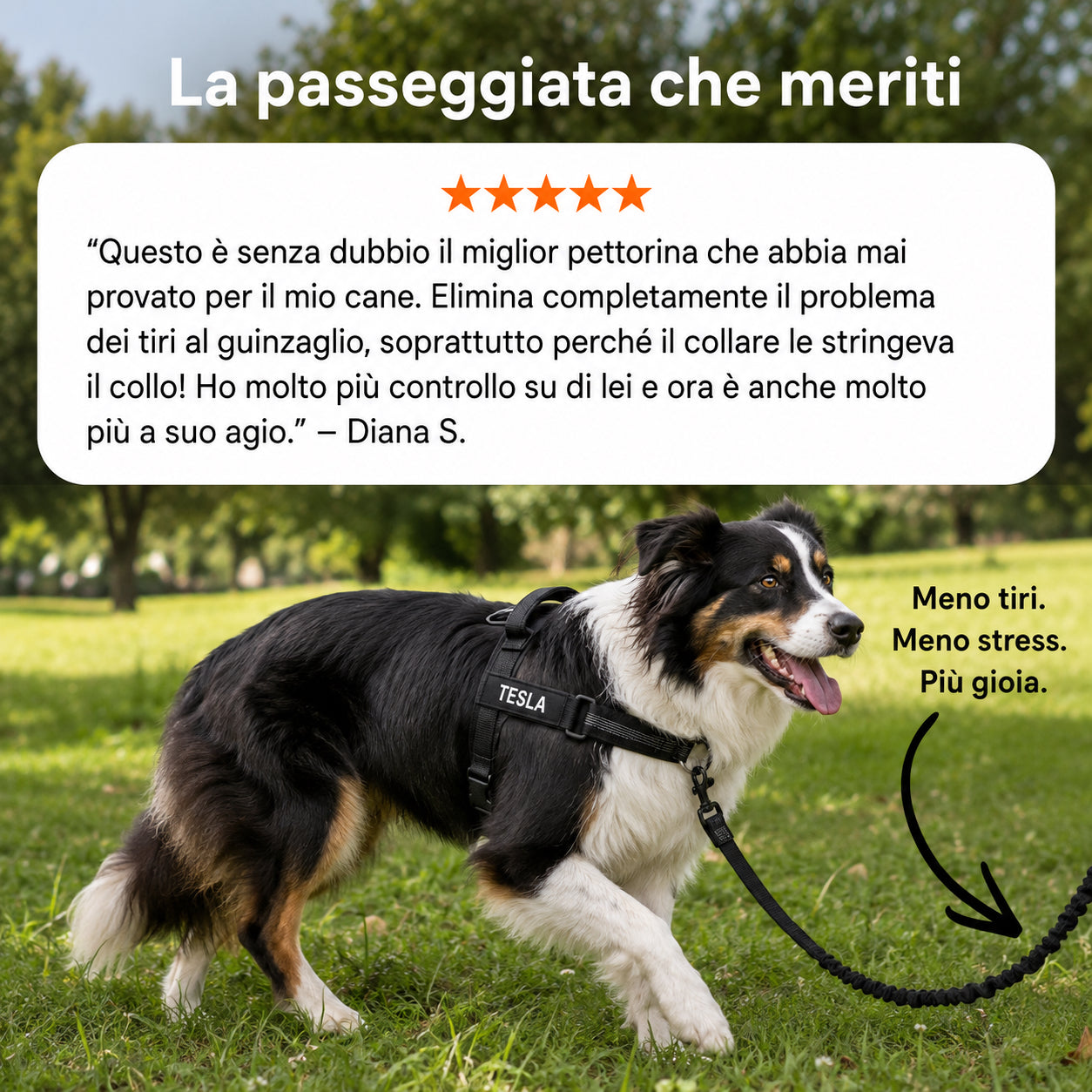 Pettorina Anti-Trazione Relva™