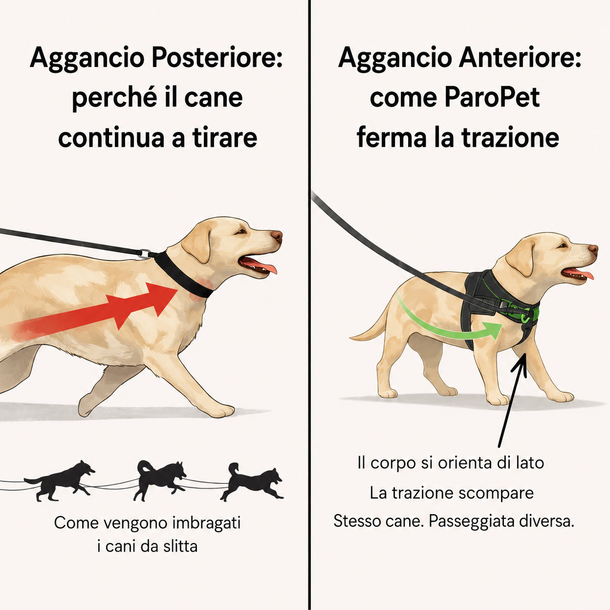 Pettorina Anti-Trazione Relva™
