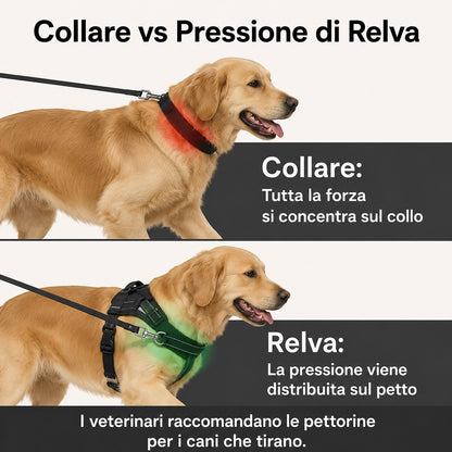 Pettorina Anti-Trazione Relva™